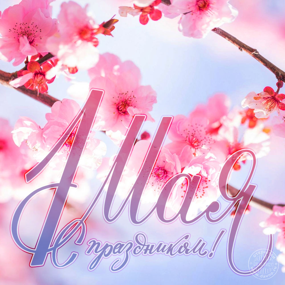Открытки с 1 мая скачать бесплатно. Открытки на 1 мая gif.    