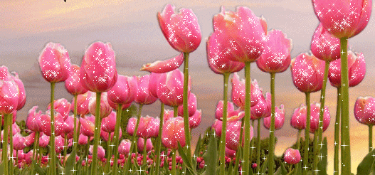 Открытки с полем тюльпанов анимационные. Открытки с полем тюльпанов gif.