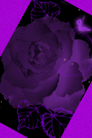 Открытки с фиолетовыми розами скачать бесплатно. Открытки с фиолетовыми розами онлайн.