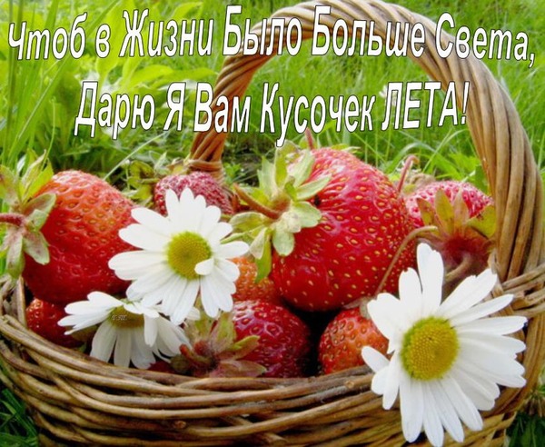 Открытки со стихами о лете скачать бесплатно с анимациями.   