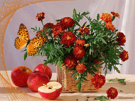 Открытки с бархатцами онлайн бесплатно. Открытки с бархатцами скачать.