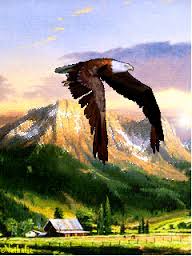 Открытки с орлом скачать бесплатно. Открытки с орлом онлайн.