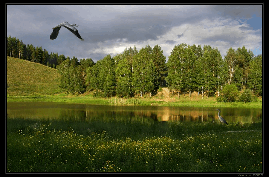 Открытки с красивой природой скачать бесплатно. Открытки с красивой природой ...