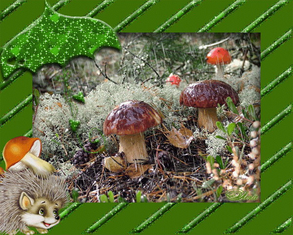 Открытки с лесными грибами скачать бесплатно. Открытки с грибами онлайн.