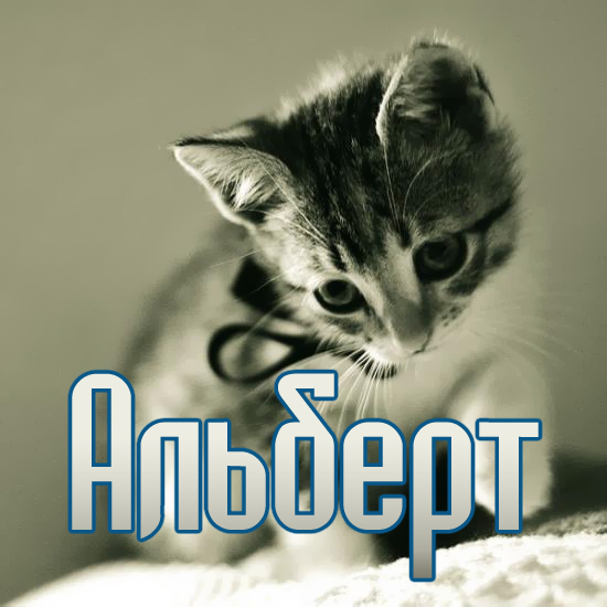 Открытки с именем Альберт с анимациями. Скачать бесплатно открытки с именем А...