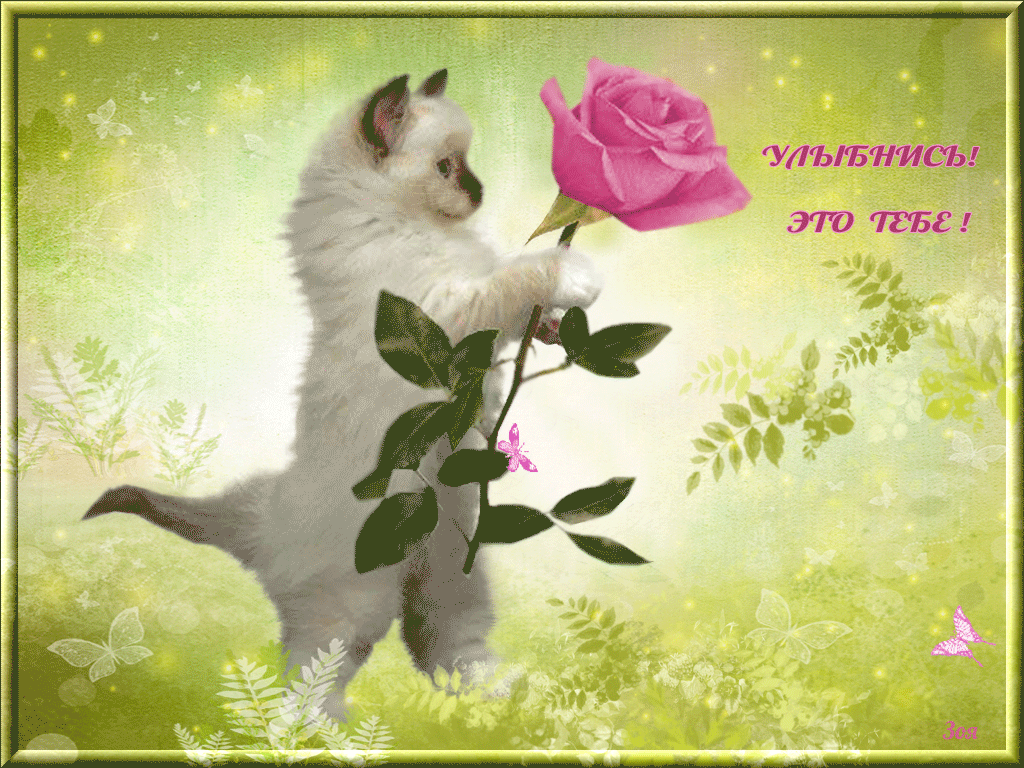 Открытки с улыбкой скачать. Анимацинные Открытки улыбнись скачать бесплатно.