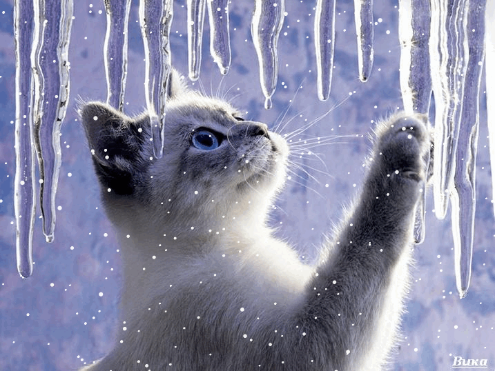 Открытки с сосульками скачать бесплатно. Открытки с сосульками gif.