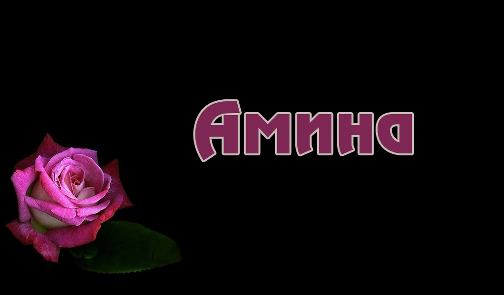 Открытки с именем Амина скачать бесплатно. С днём рождения Амина открытки.