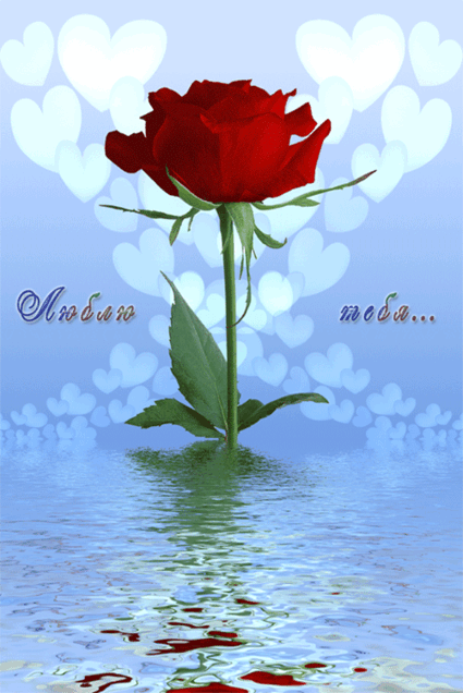 Скачать бесплатно красивые открытки с признанием в любви. Открытки я тебя люблю.