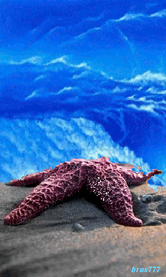 Открытки с морскими звездами анимационные. Открытки с морскими звездами gif.