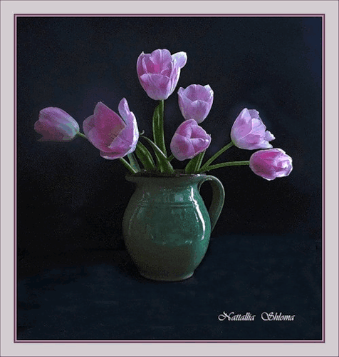 Нежные открытки с розовыми тюльпанами. Открытки с розовыми тюльпанами скачать.