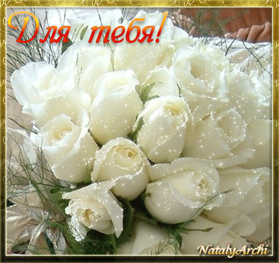 Белый Розы Фото Скачать Бесплатно