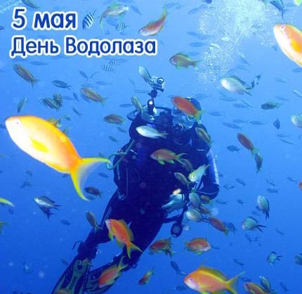 Открытки с днём водолаза скачать бесплатно. Открытки с днём водолаза gif.