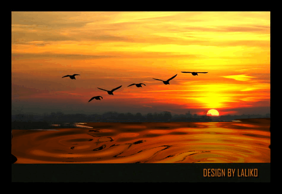 Открытки с парящими в небе птицами скачать бесплатно. Открытки с парящими в н...