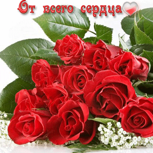 Открытки с розами скачать бесплатно Открытки с розами онлайн.