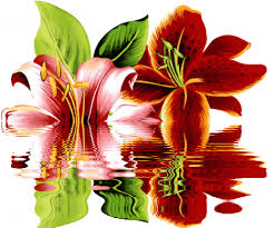 Открытки с красной лилией скачать. Анимационные открытки с красной лилией. 