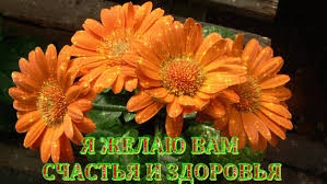 Открытки с календулой скачать бесплатно. Открытки с календулой онлайн.