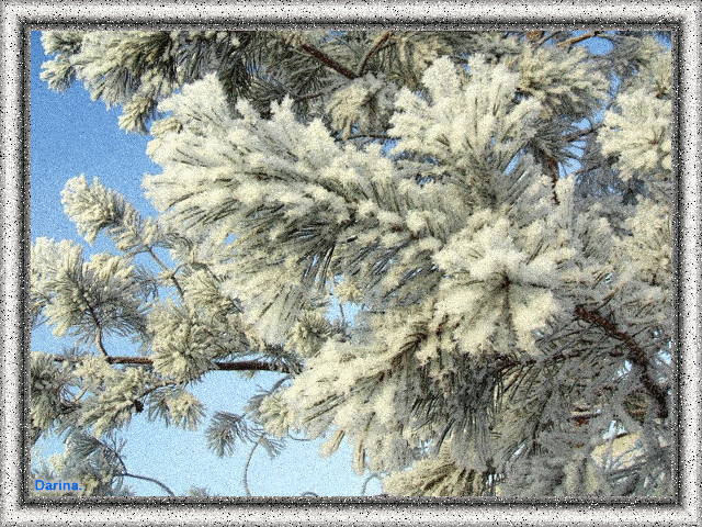 Открытки с инеем скачать бесплатно. Открытки с инеем gif.     