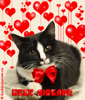 Открытки с Всемирным днём кошек с пожеланиями. Открытки с Всемирным днём коше...