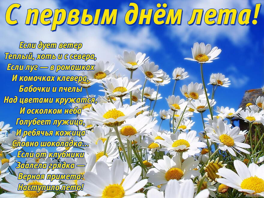 Открытки с первым днём лета скачать. Открытки с первым днём лета бесплатно.