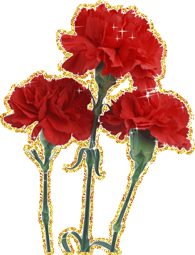 Открытки с гвоздиками скачать. Открытки с гвоздиками онлайн.