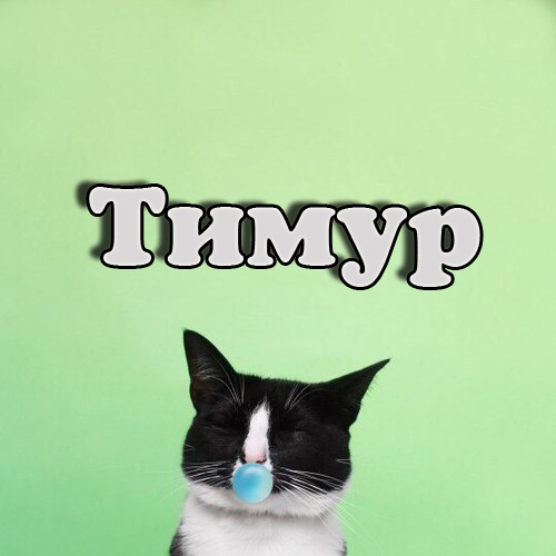 Открытки с именем Тимур скачать бесплатно. Анимационные открытки с именем Тимур.