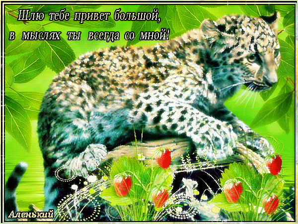 Открытки с леопардом скачать. Открытки с леопардом бесплатно.