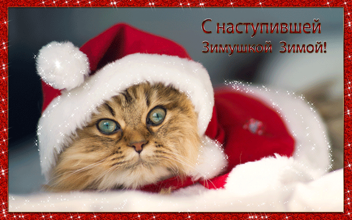 Открытки зима скачать бесплатно. Анимационные зимний открытки.