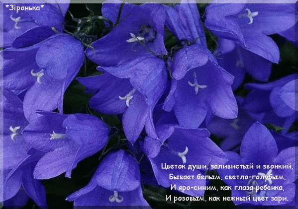 Открытки с колокольчиками онлайн бесплатно. Открытки с колокольчиками анимаци...