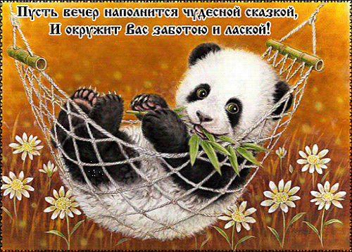 Открытки с пандой скачать бесплатно. Открытки с пандой gif.