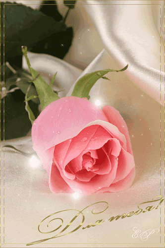 Чудесные открытки с розовыми розами скачать бесплатно gif.