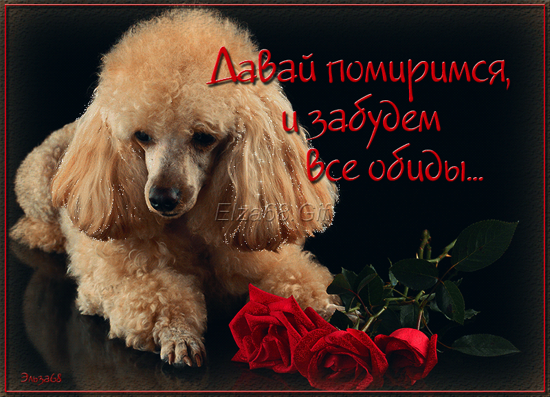 Открытки давай мириться с анимациями. Открытки давай мириться скачать бесплатно