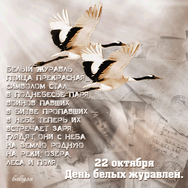 Открытки с праздником белых журавлей скачать бесплатно.     