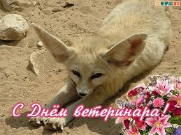 Открытки с Международным днём ветеринара скачать бесплатно.