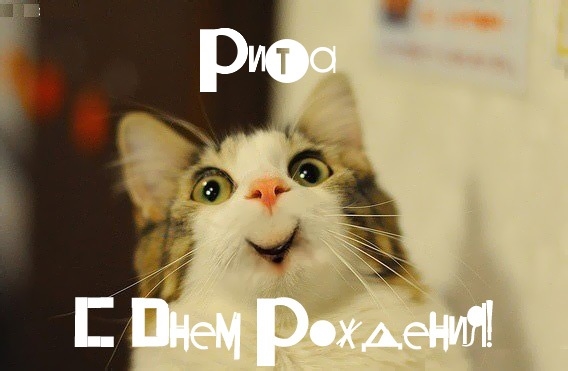 Открытки с именем Маргарита скачать бесплатно. Открытки с именем Маргарита gif.