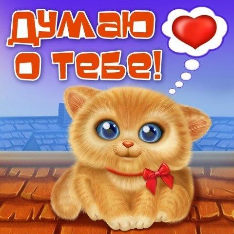 серий стало открытки скучаю новые одни, компании русской