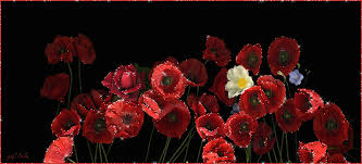 Открытки с букетом маков скачать бесплатно. Открытки с букетом маков онлайн.