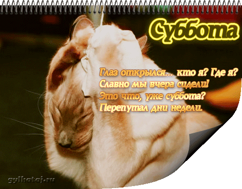 Открытки с субботой с пожеланиями. Скачать открытки с субботой.