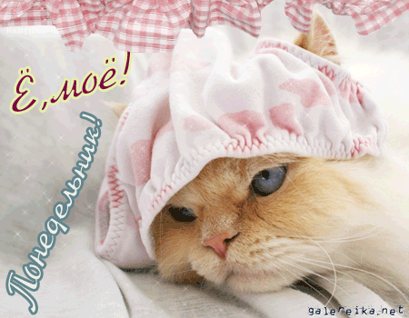 Открытки на понедельник скачать. Открытки на понедельник бесплатно.