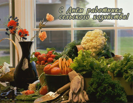 Открытки с днём работников сельского хозяйства и перерабатывающей промышленности скачать бесплатно.