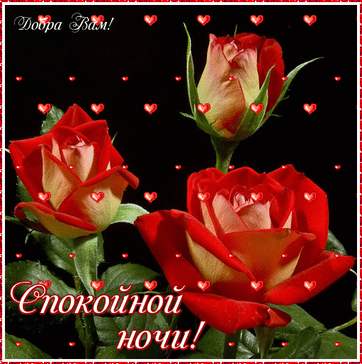 Скачать бесплатно открытки спокойной ночи. открытки сладких снов.