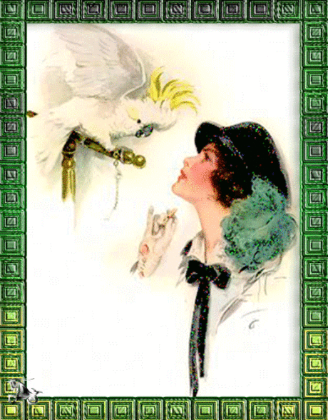 Открытки с попугаями скачать. Открытки с попугаями бесплатно.