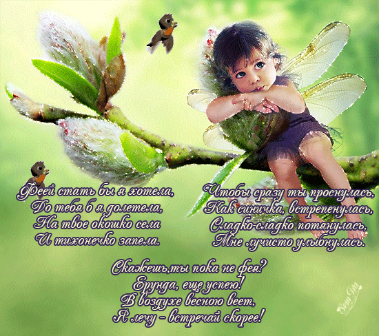 Открытки с феями gif. Анимационные открытки с феями.