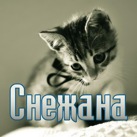 Открытки с именем Снежана скачать бесплатно. Красивые Открытки с именем Снежана.