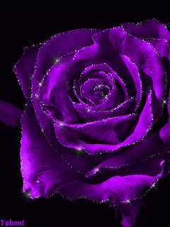 Открытки с фиолетовыми розами скачать бесплатно. Открытки с фиолетовыми розам...