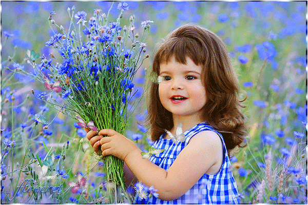 Открытки с васильковым полем скачать бесплатно. Открытки с васильковым полем ...