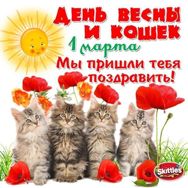 Открытки с Всемирным днём кошек с пожеланиями. Открытки с Всемирным днём коше...