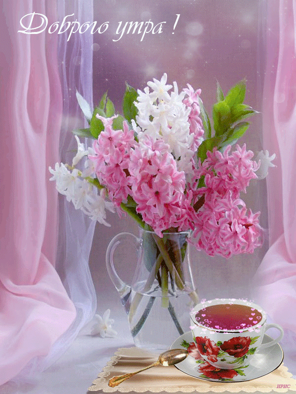 Открытки с букетом сирени скачать бесплатно. Открытки с букетом сирени онлайн. 