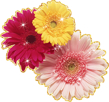 Открытки с герберами скачать бесплатно. Открытки с герберами gif.