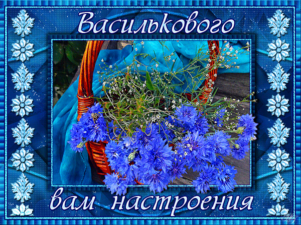 Открытки с букетом васильков скачать бесплатно. Открытки с букетом васильков ...